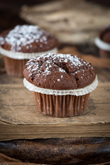 Schokoladen Muffins