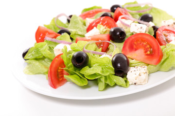 Obraz na płótnie Canvas greek salad
