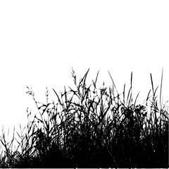 Realistic grass silhouette  (Vector illustration).