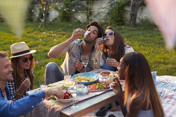 Friends Blowing Bubbles During Picnic In Garden