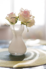 Three beautiful white and pink roses in the white mat vase on the table with sunlight. Morning freshness. Bouquet at home. Interior. Sunny day in the house.