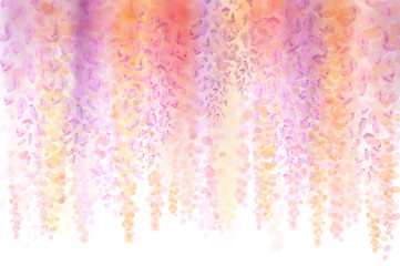 Spring background with blooming wisteria