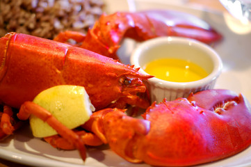 Lobster with lemon and brown rice (close-up)  