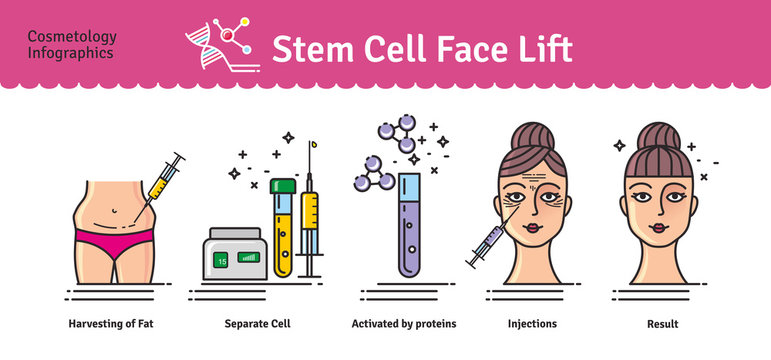 Vector Illustrated set with cosmetology stem cell facelift