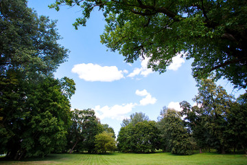 Nature background, park with meadow