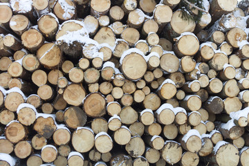 Wall made of stacked wood.