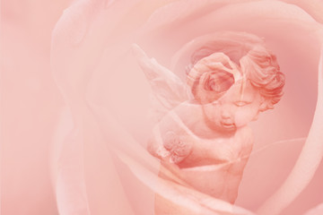 Rose and Cupid,double exposure.Background for Valentine's day.