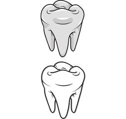 White teeth and outline. Vector isolated. Clip-art