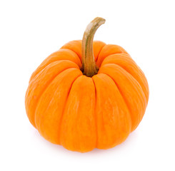 Small pumpkin isolated on white background
