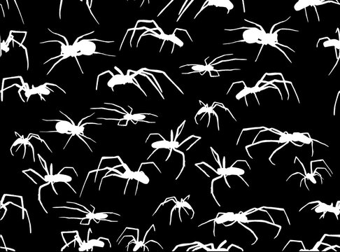 white spider seamless background