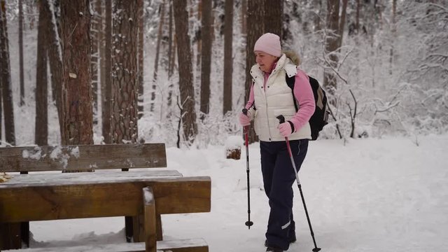 Side view of active woman doing nordic walking with ski poles in winter nature outdoors. Retired lady having picnic in the forest and stepping to clearing with wooden table and bench to have a rest.