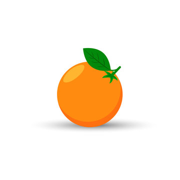 Orange fruit with shadow isolated on white background vector illustration