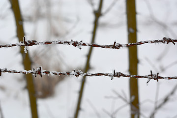 Obraz premium close-up of barbed wire in winter with snow