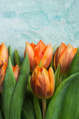 Orange tulips on blue concrete weathered background