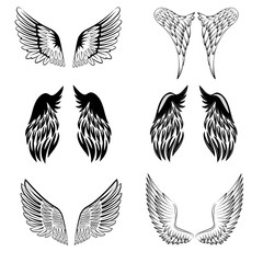 Fototapeta premium Black and white vector stylized heraldic bird wings, showing the two wings with feather detail