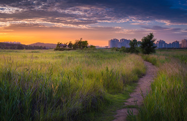 Fototapeta premium Beautiful landscape in South Korea,Sorae ecology wetland park