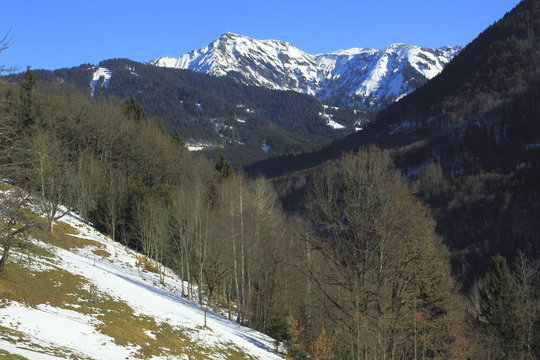 Viktorsberg, Blick auf Hohen Freschen