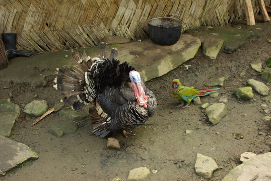 trekking de la ciudad perdida