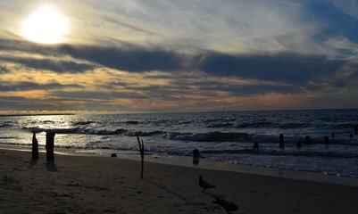 Fototapeta na wymiar Sea, birds, dove symbol of peace, sunset, clouds, blue, loneliness, emptiness.