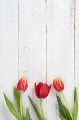 Tulpenmotiv
