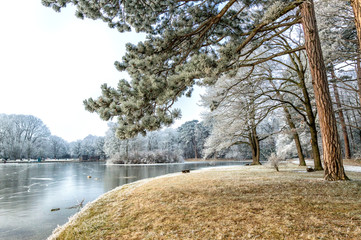 Obraz premium Wintersee. Winterteich.Schlosspark.