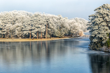 Fototapeta premium Wintersee. Winterteich.Schlosspark.