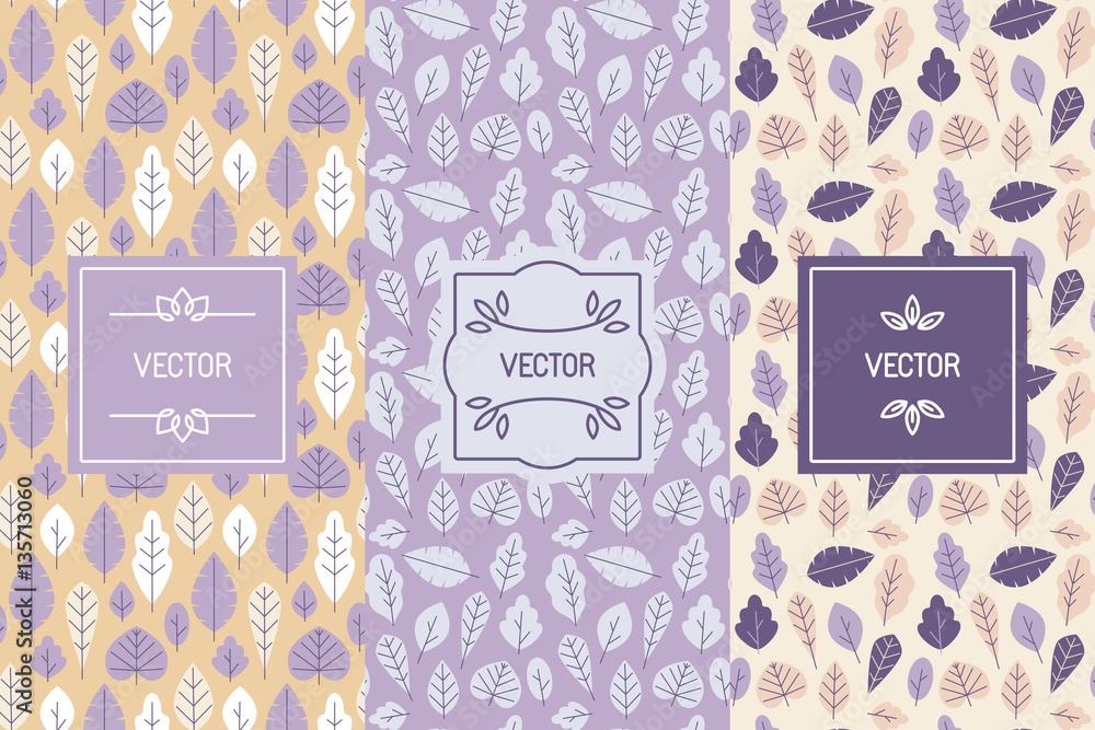 Poster Vector set of design elements for packaging and seamless pattern