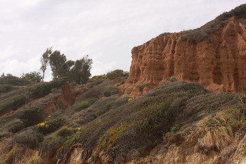    El Matador Beach  Malibu, CA 