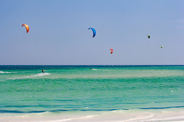 Parachute kitesurf overlook the ocean in front of the Watamu bea © CarlottaV