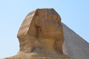 Fototapeta na wymiar Beautiful profile of the Great Sphinx