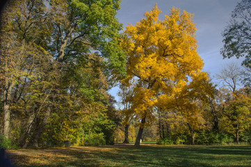 Schlosspark. Herbst. Schloss. Burg. Herbs im Wald.