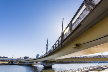 隅田川と桜橋