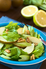 Frischer Salat aus Sellerie, Birne und Walnuss, fotografiert mit natürlichem Licht (Selektiver Fokus, Fokus in die Mitte des Salats)