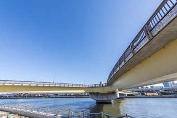 隅田川と桜橋