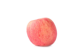 The 