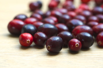Cranberry