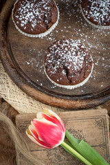 Schoko Muffins