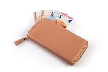 il portafoglio con euro