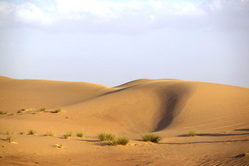Fototapeta na wymiar Sanddünen in der Wüste bei Dubai, Vereinigte Arabische Emirate, Naher Osten