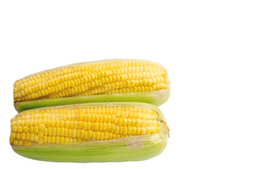 Fresh sweet corn isolated on white background.