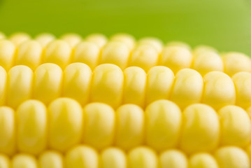 Fresh sweet corn,Close up Photography.