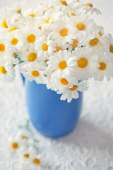 Delicate daisy flowers in a blue ceramic vase .