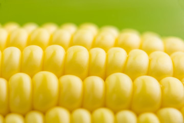 Fresh sweet corn,Close up Photography.