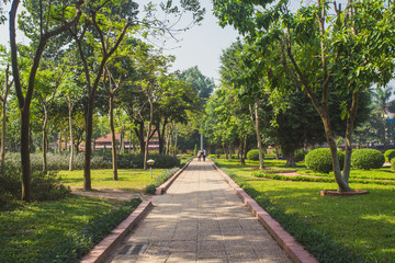 Alley in the park on a summer day