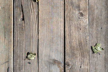 Dark Old Wood Texture or Background Top View