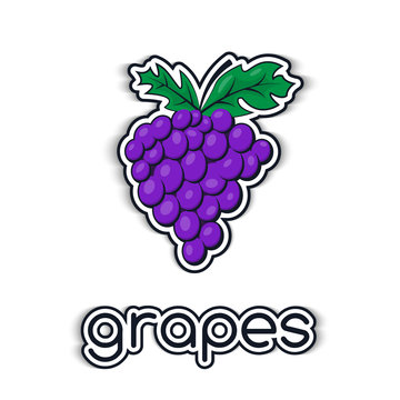 Grapes in a flat style. The icon,  symbol of the fruit