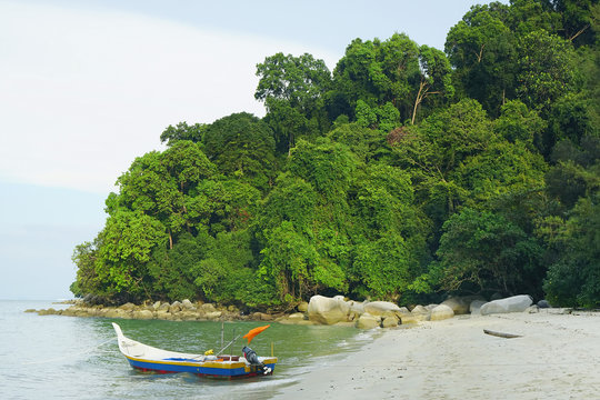 Monkey Beach On Pinang Island, Malaysia, Asia