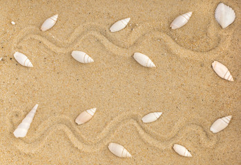 Bright Background with Different Sea Shells