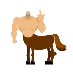 Centaur fairytale creature. Man horse isolated. Fantastic animal