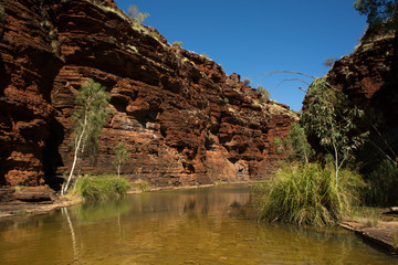 Outback Australia: Billabong in Kalamina Gorge, Karijini NP, WA © OPJK